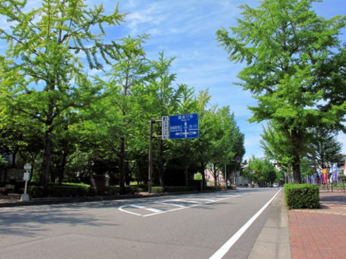 道路の写真